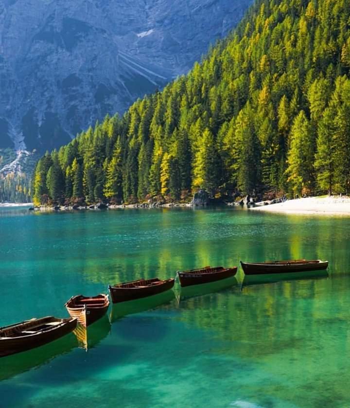 Alping Apartments Brunico Dış mekan fotoğraf